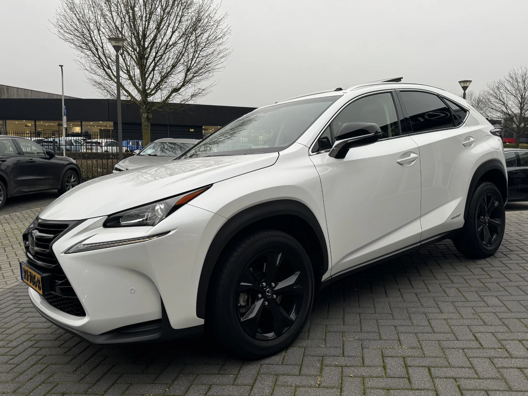 Hoofdafbeelding Lexus NX
