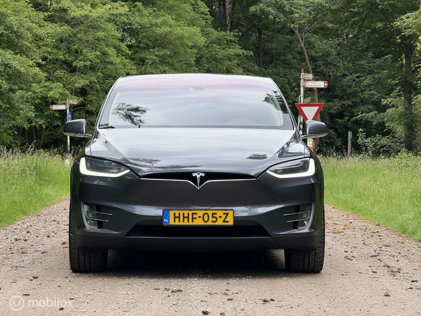 Hoofdafbeelding Tesla Model X