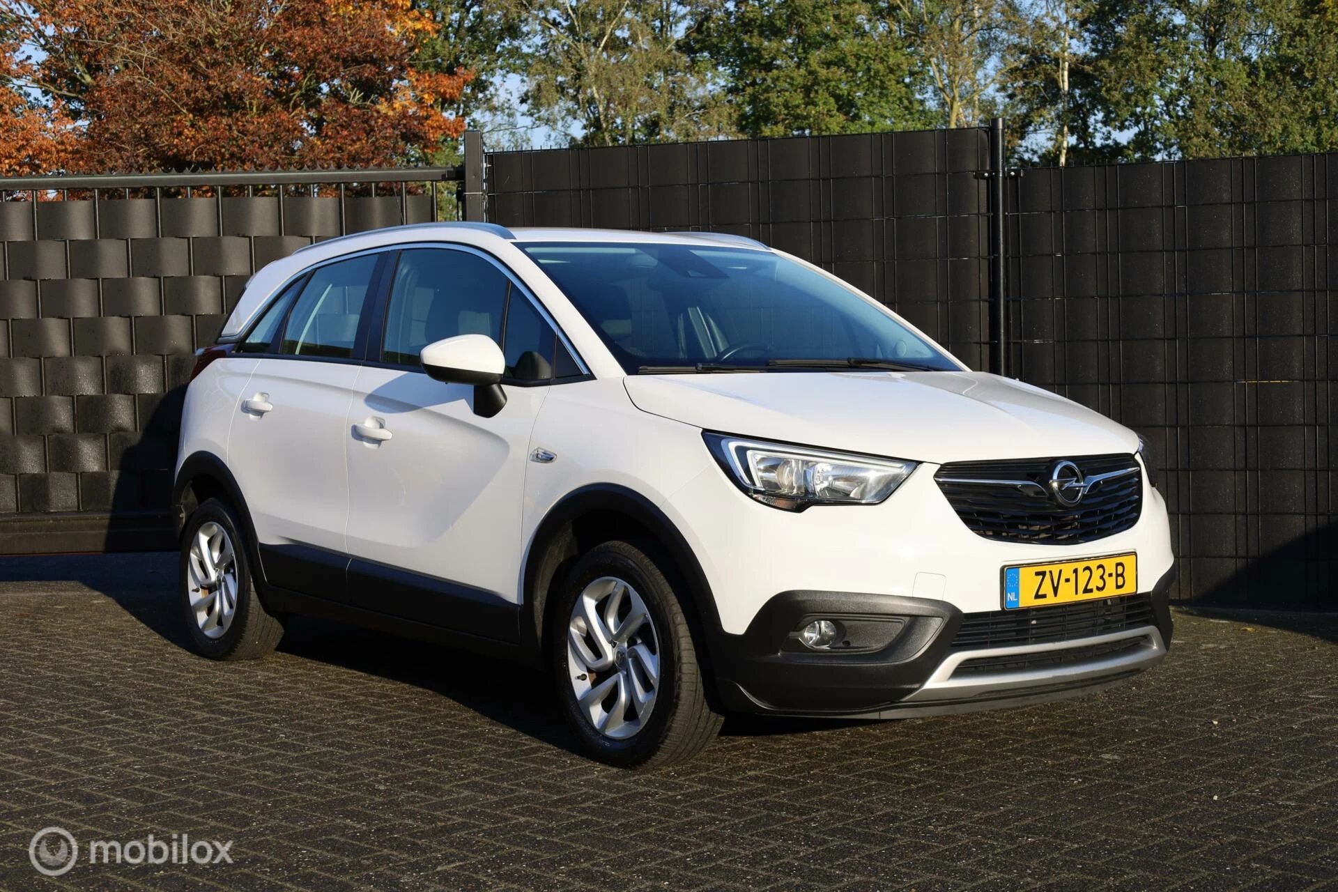 Hoofdafbeelding Opel Crossland X