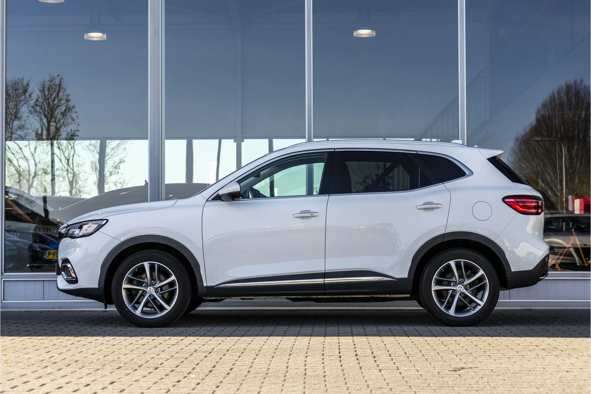 Hoofdafbeelding MG EHS