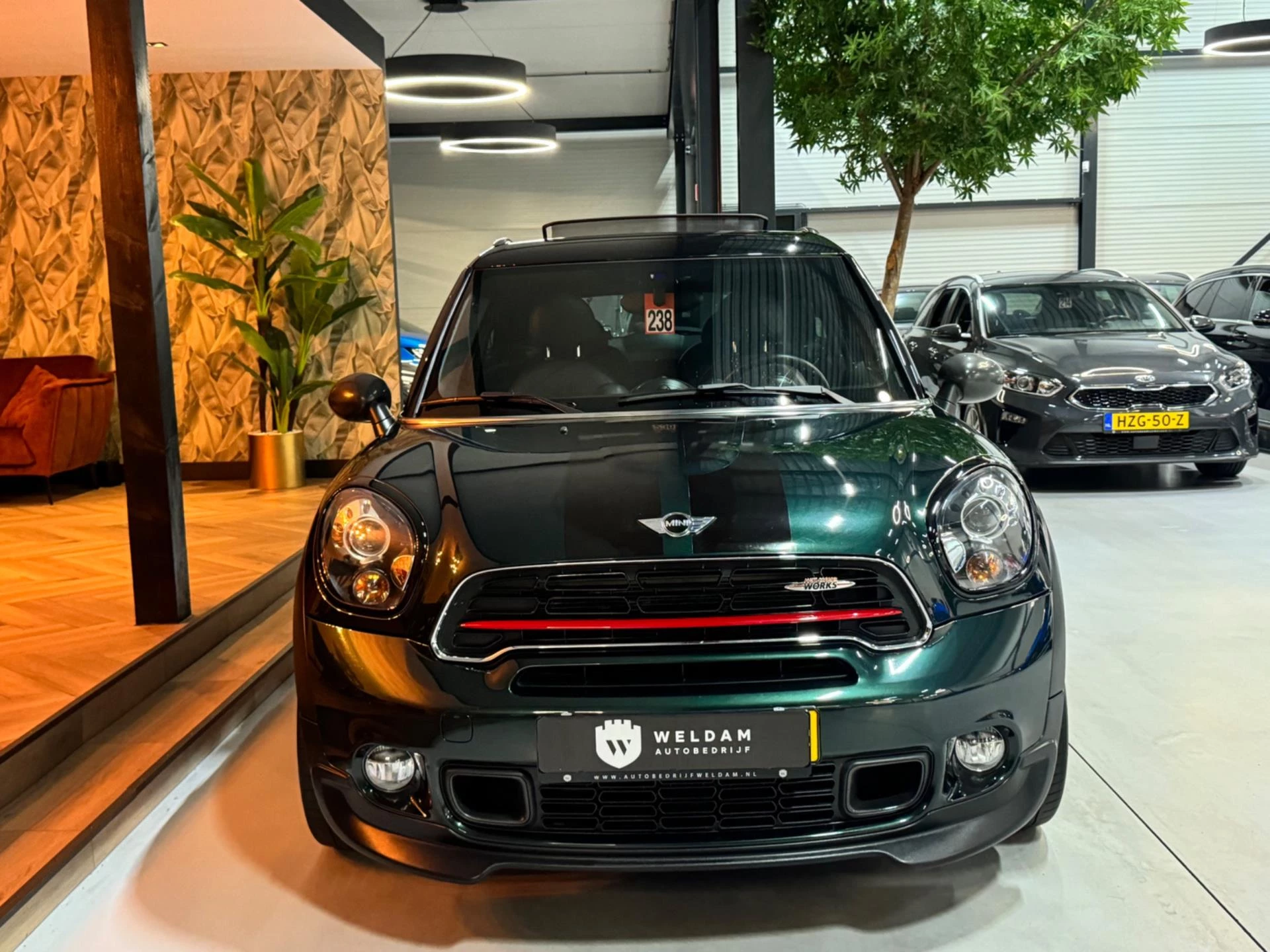 Hoofdafbeelding MINI Paceman