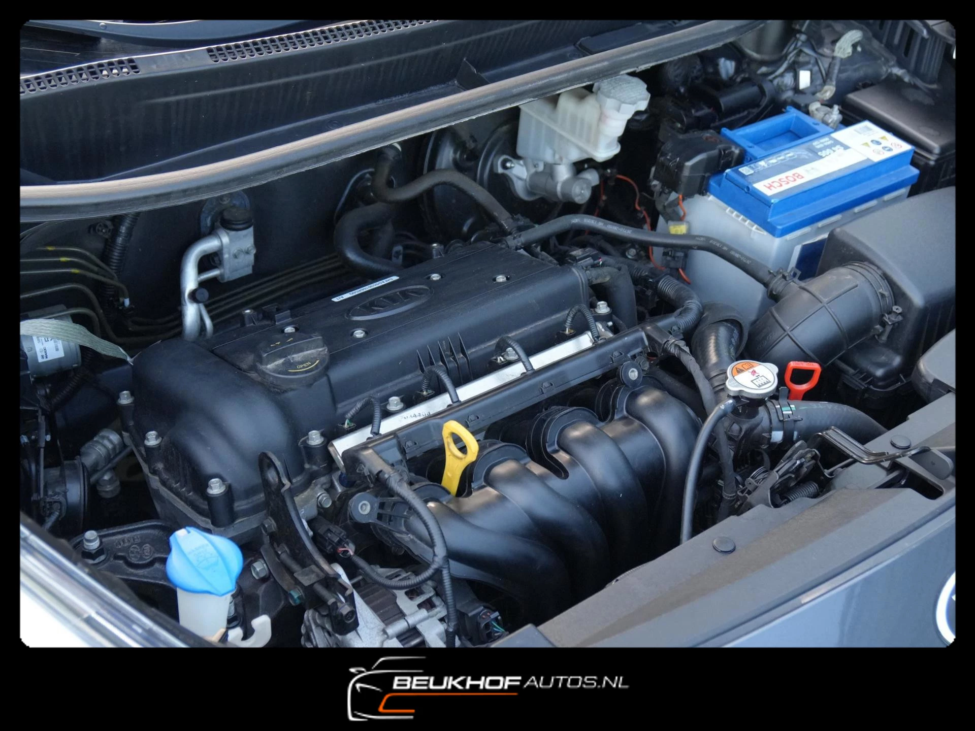 Hoofdafbeelding Kia Rio