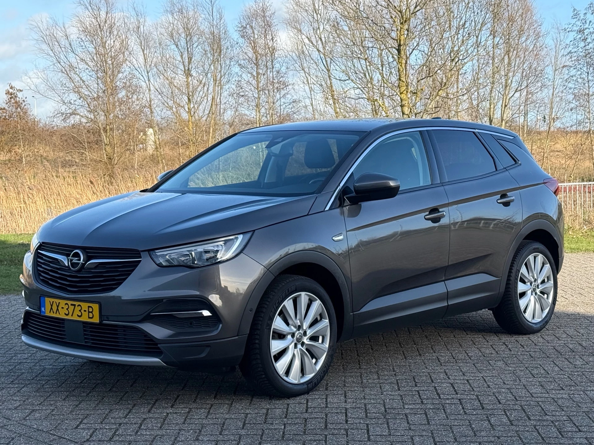 Hoofdafbeelding Opel Grandland X