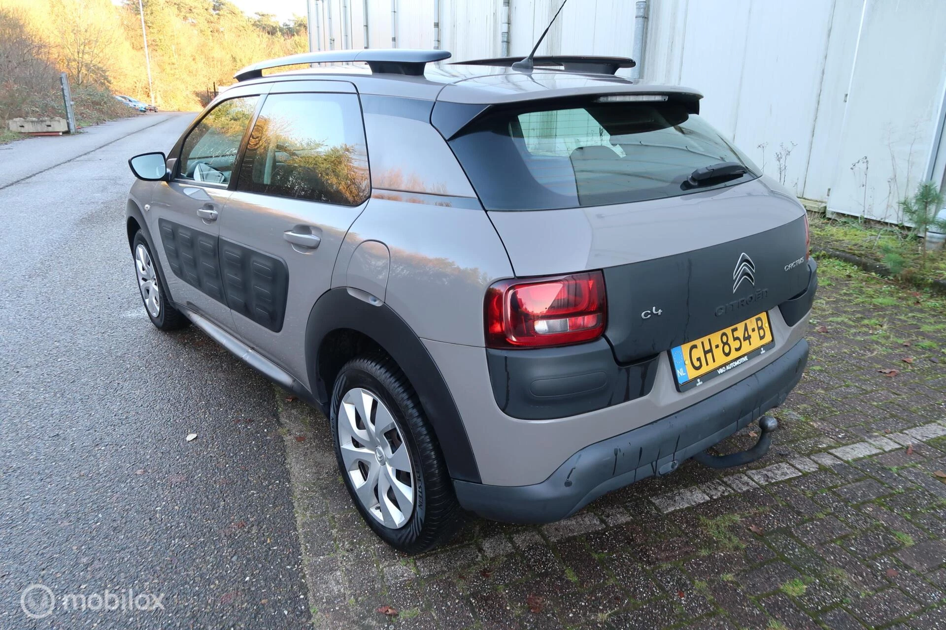 Hoofdafbeelding Citroën C4 Cactus