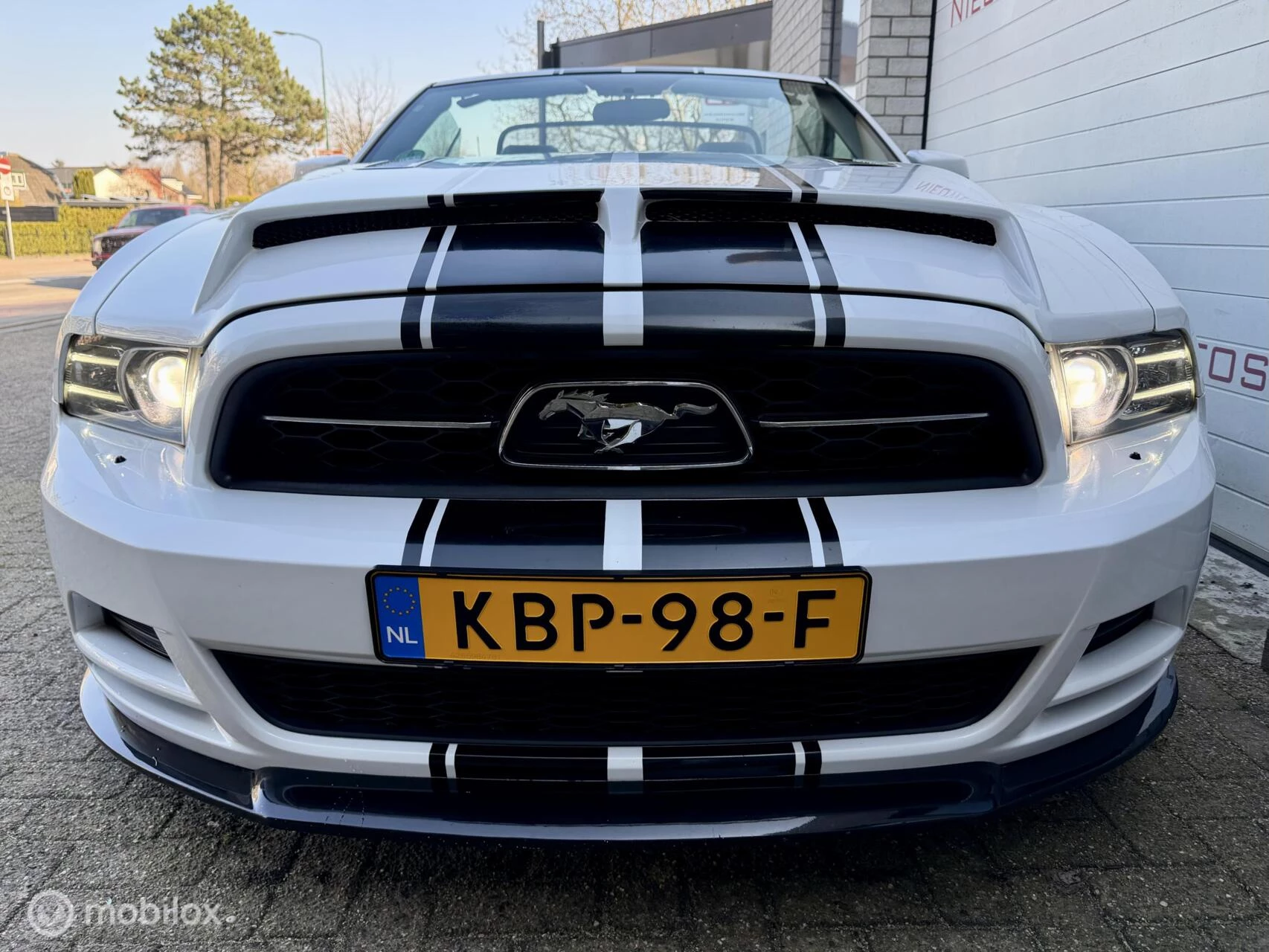 Hoofdafbeelding Ford Mustang