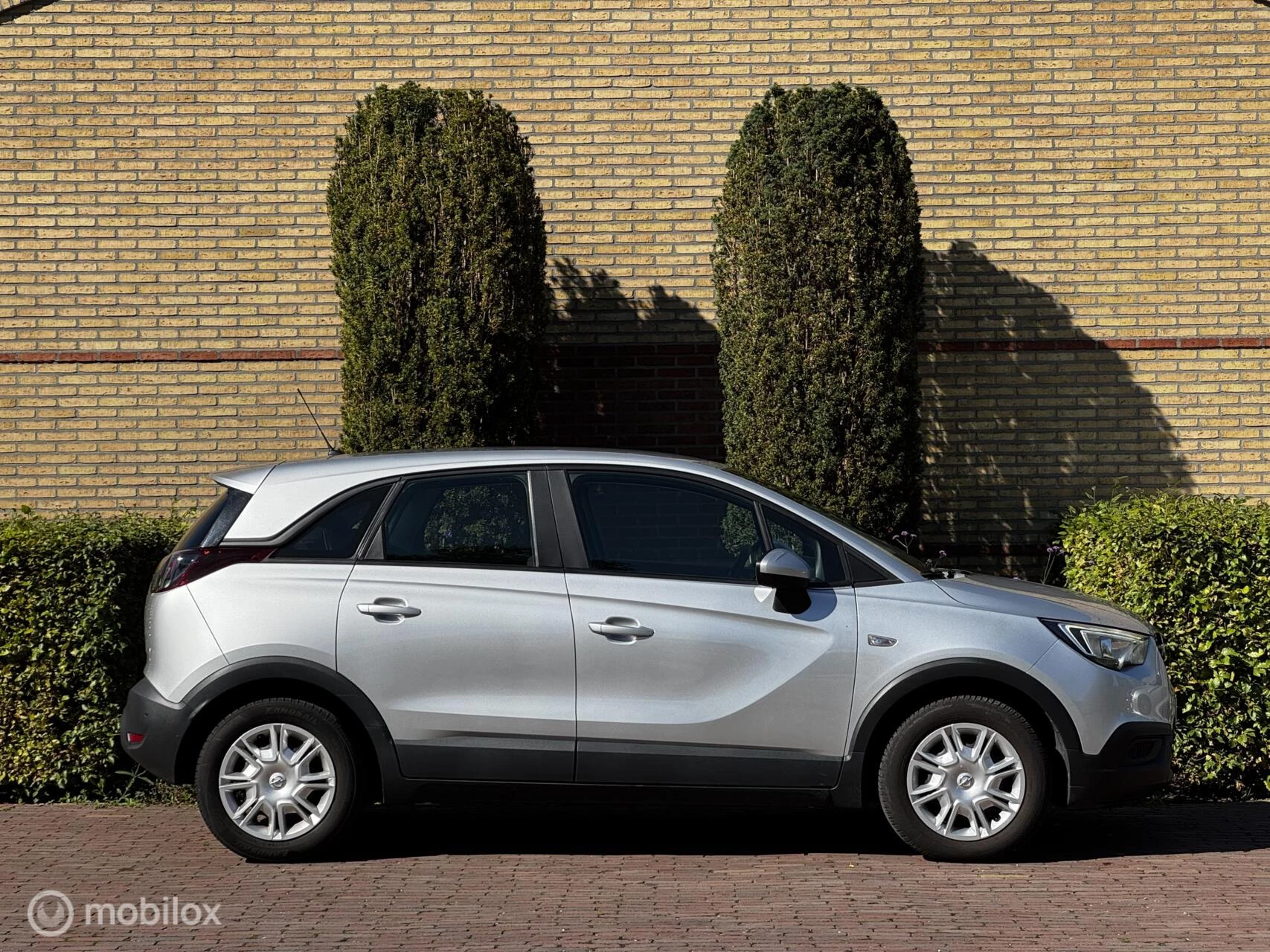 Hoofdafbeelding Opel Crossland X