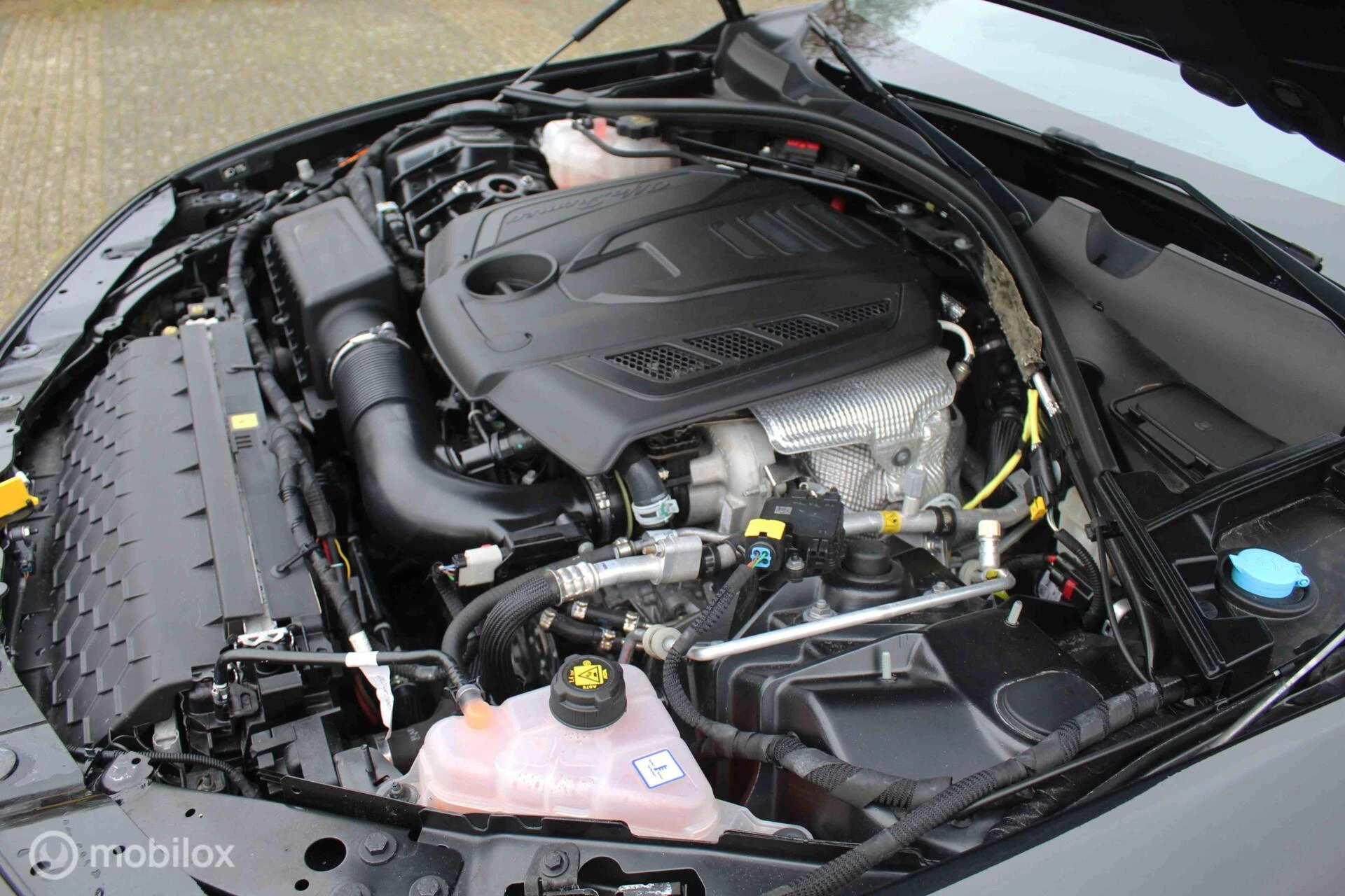 Hoofdafbeelding Alfa Romeo Giulia