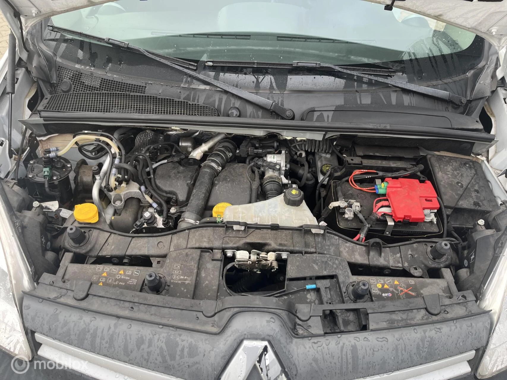 Hoofdafbeelding Renault Kangoo