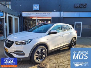 Hoofdafbeelding Opel Grandland X Opel Grandland X 1.2 Turbo Business Executive