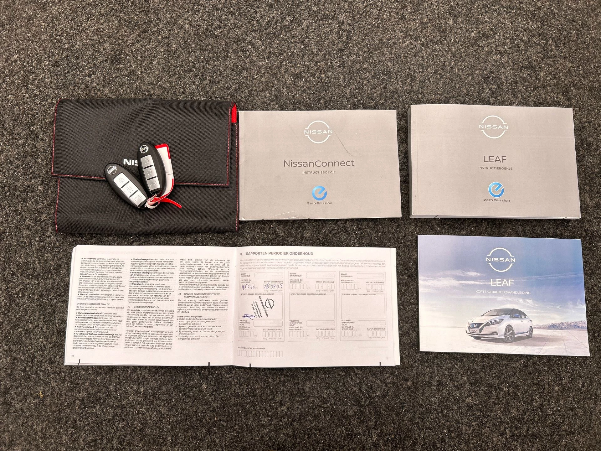 Hoofdafbeelding Nissan Leaf