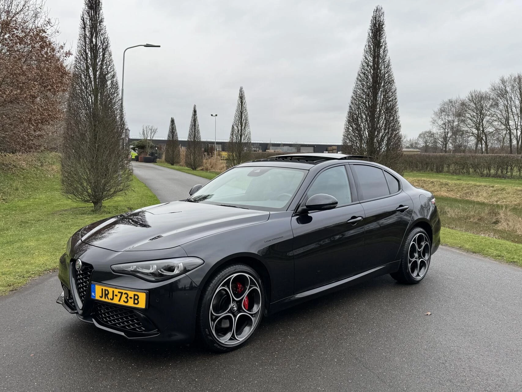 Hoofdafbeelding Alfa Romeo Giulia