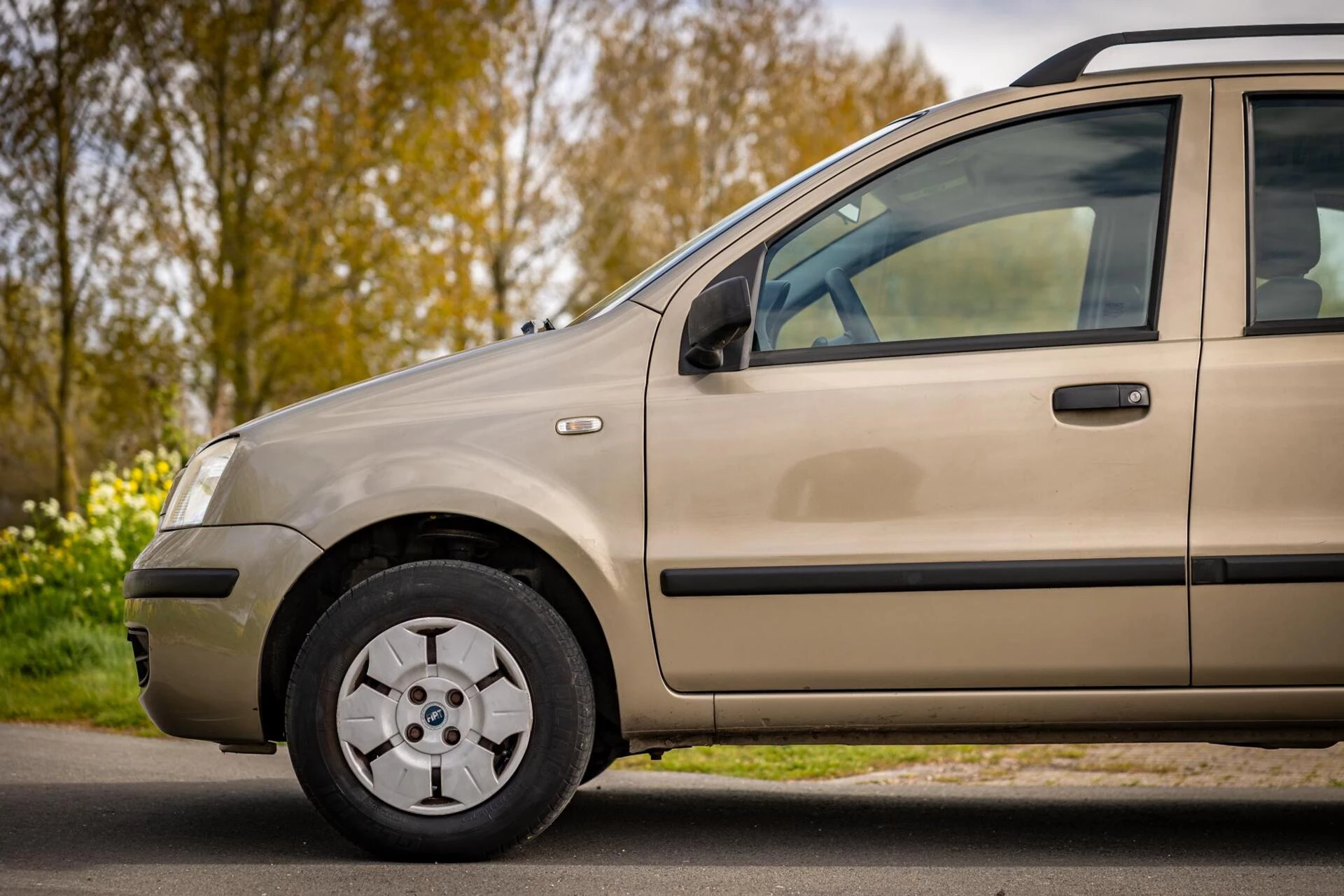 Hoofdafbeelding Fiat Panda