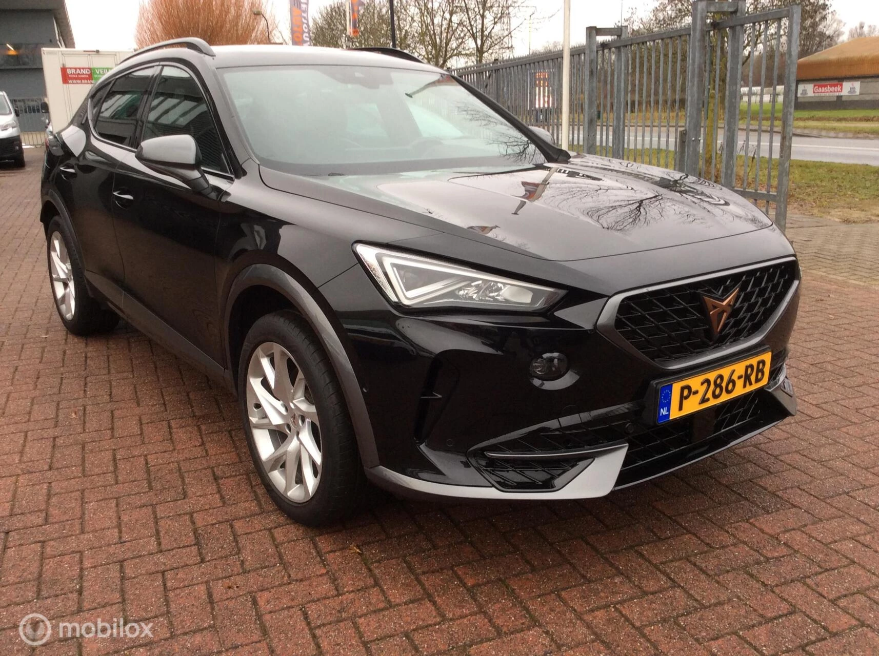 Hoofdafbeelding CUPRA Formentor