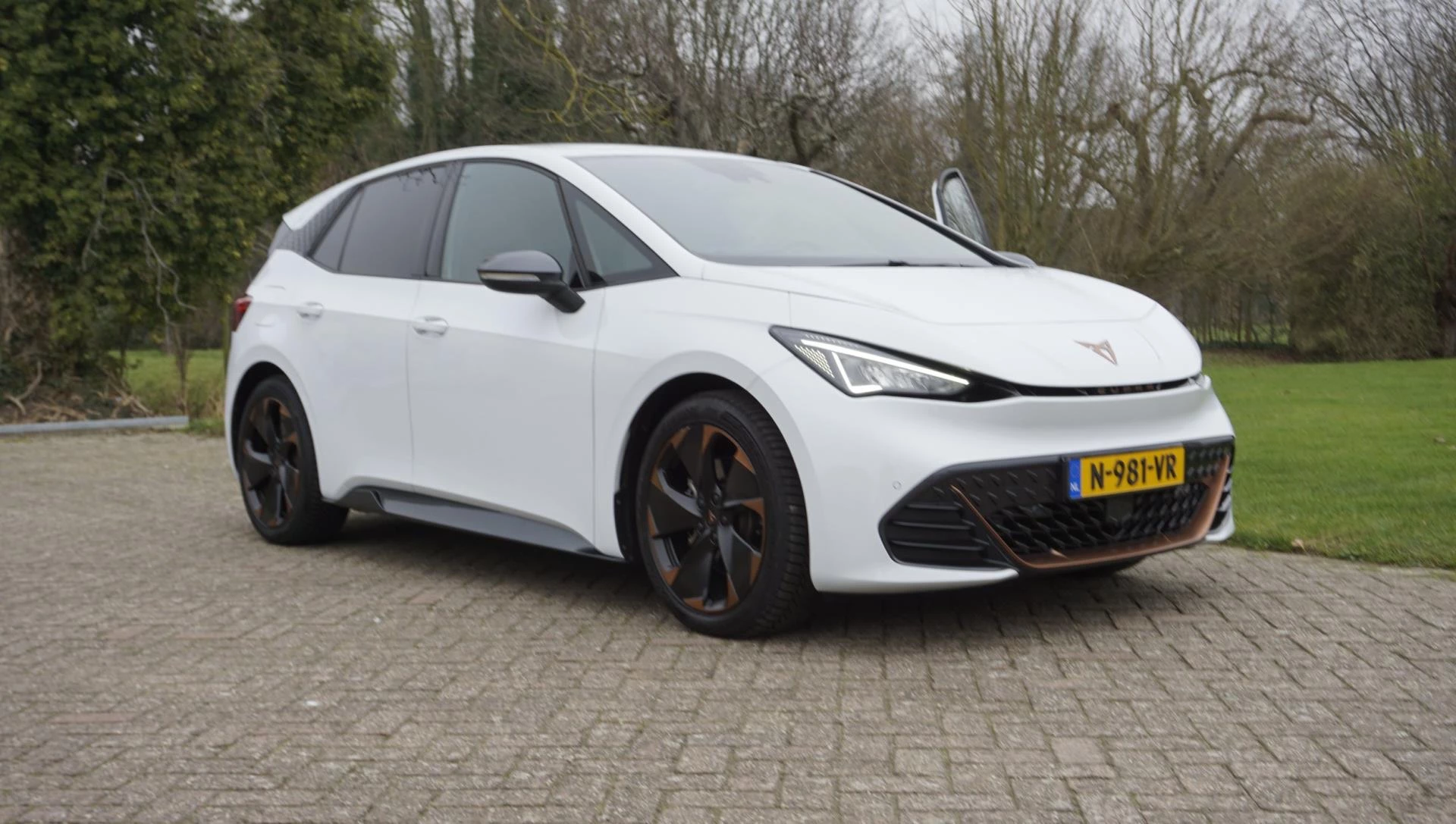 Hoofdafbeelding CUPRA Born