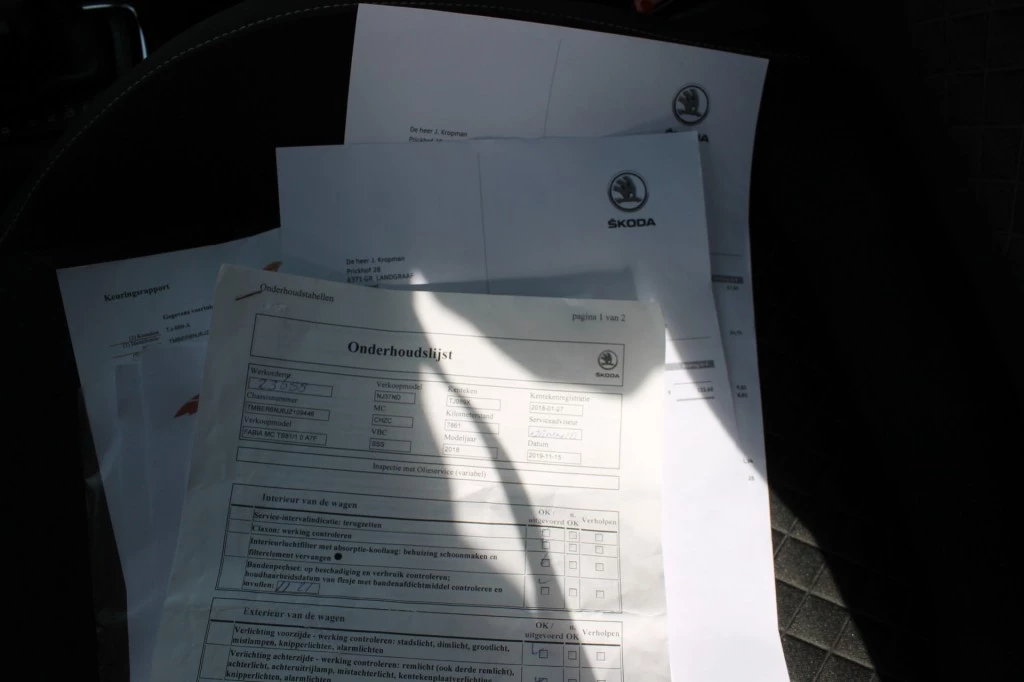 Hoofdafbeelding Škoda Fabia