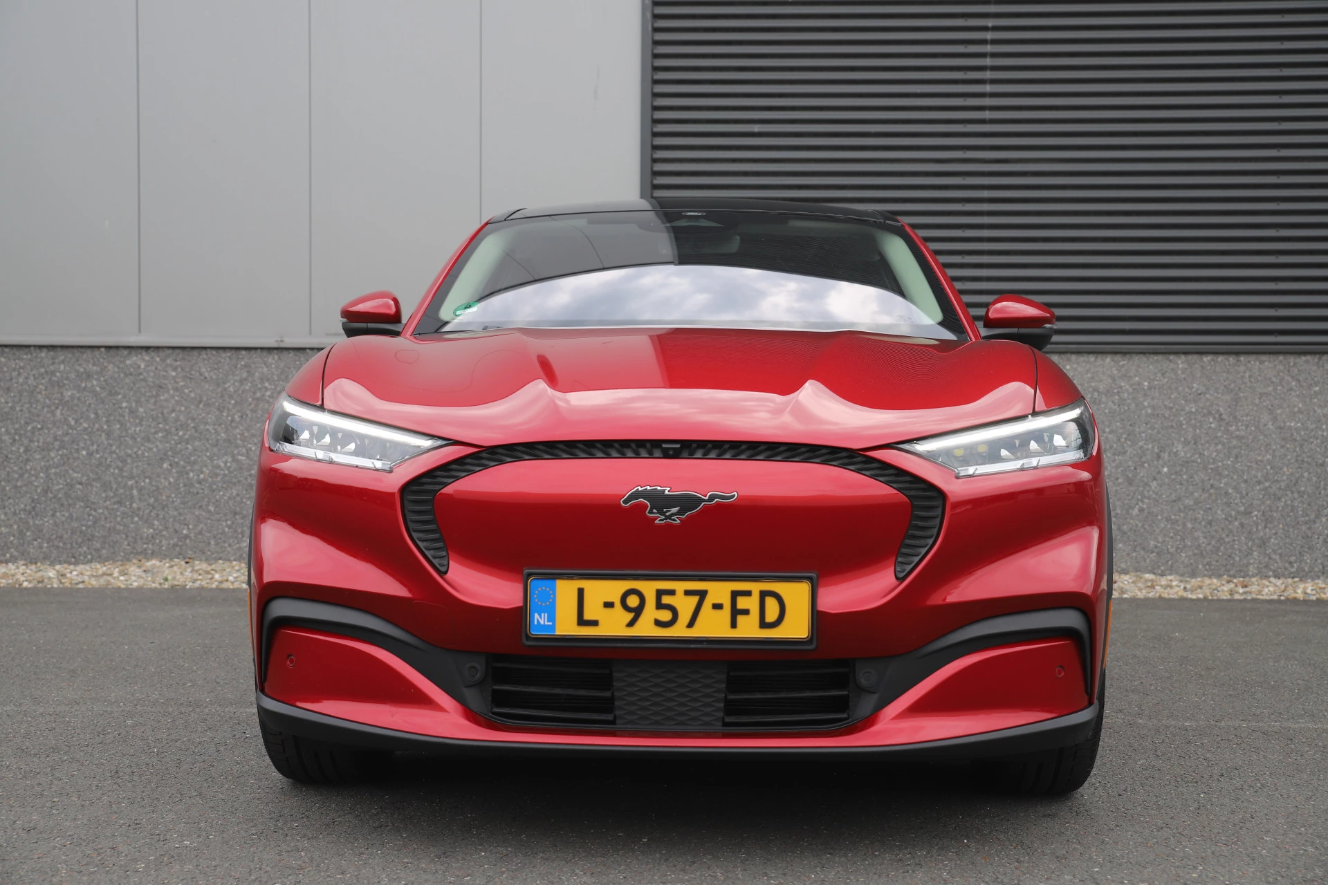 Hoofdafbeelding Ford Mustang Mach-E
