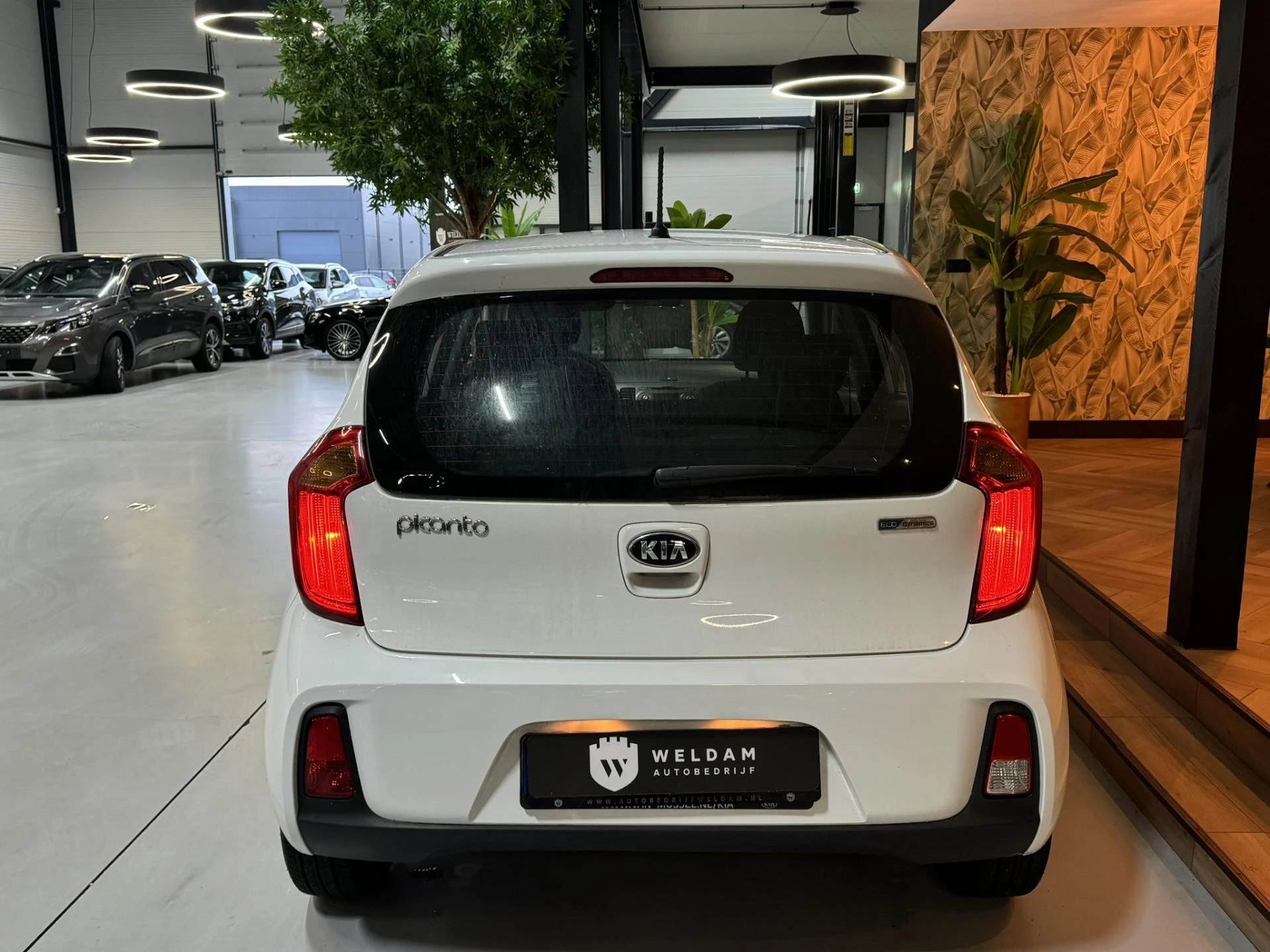 Hoofdafbeelding Kia Picanto