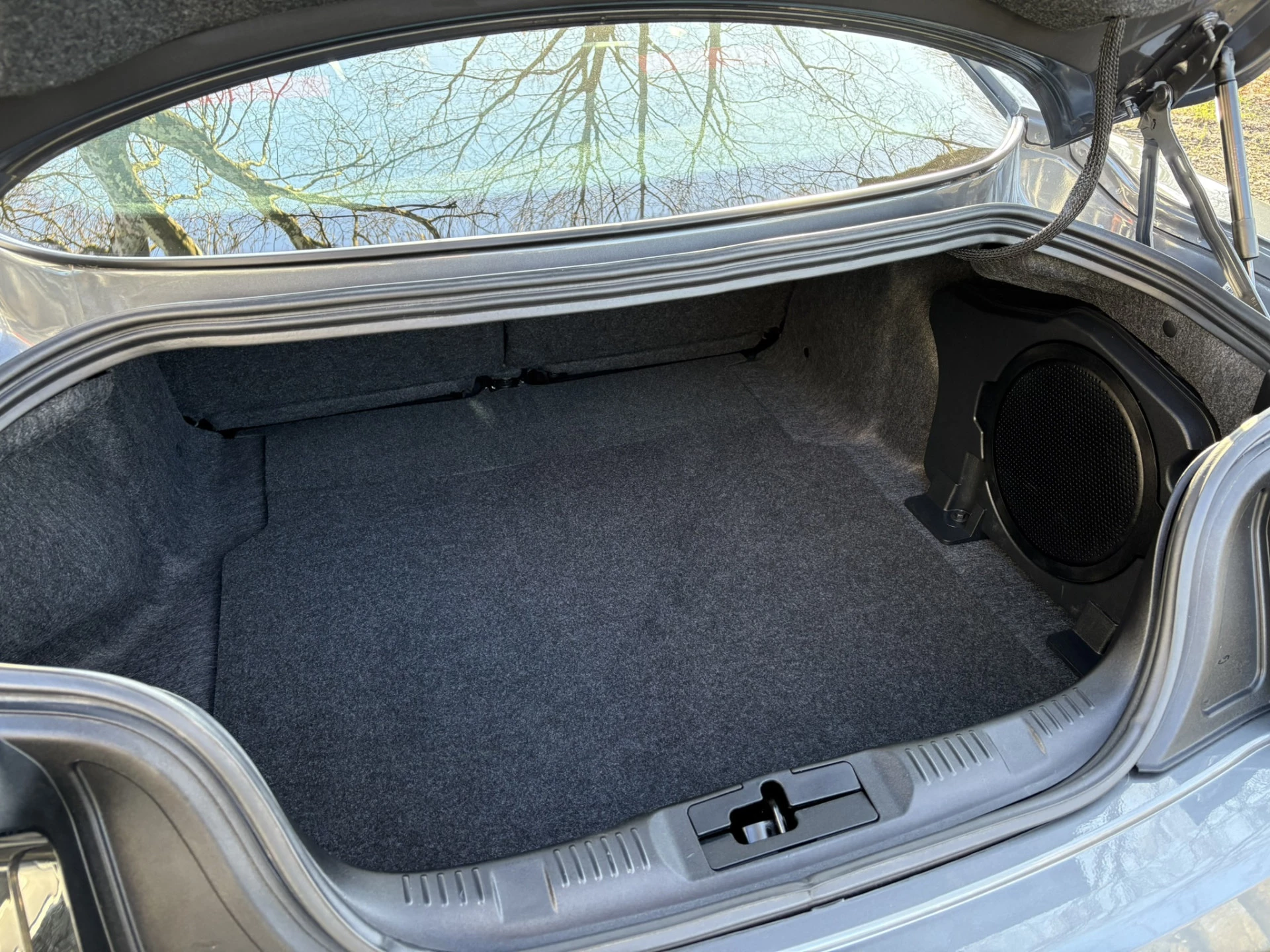 Hoofdafbeelding Ford Mustang