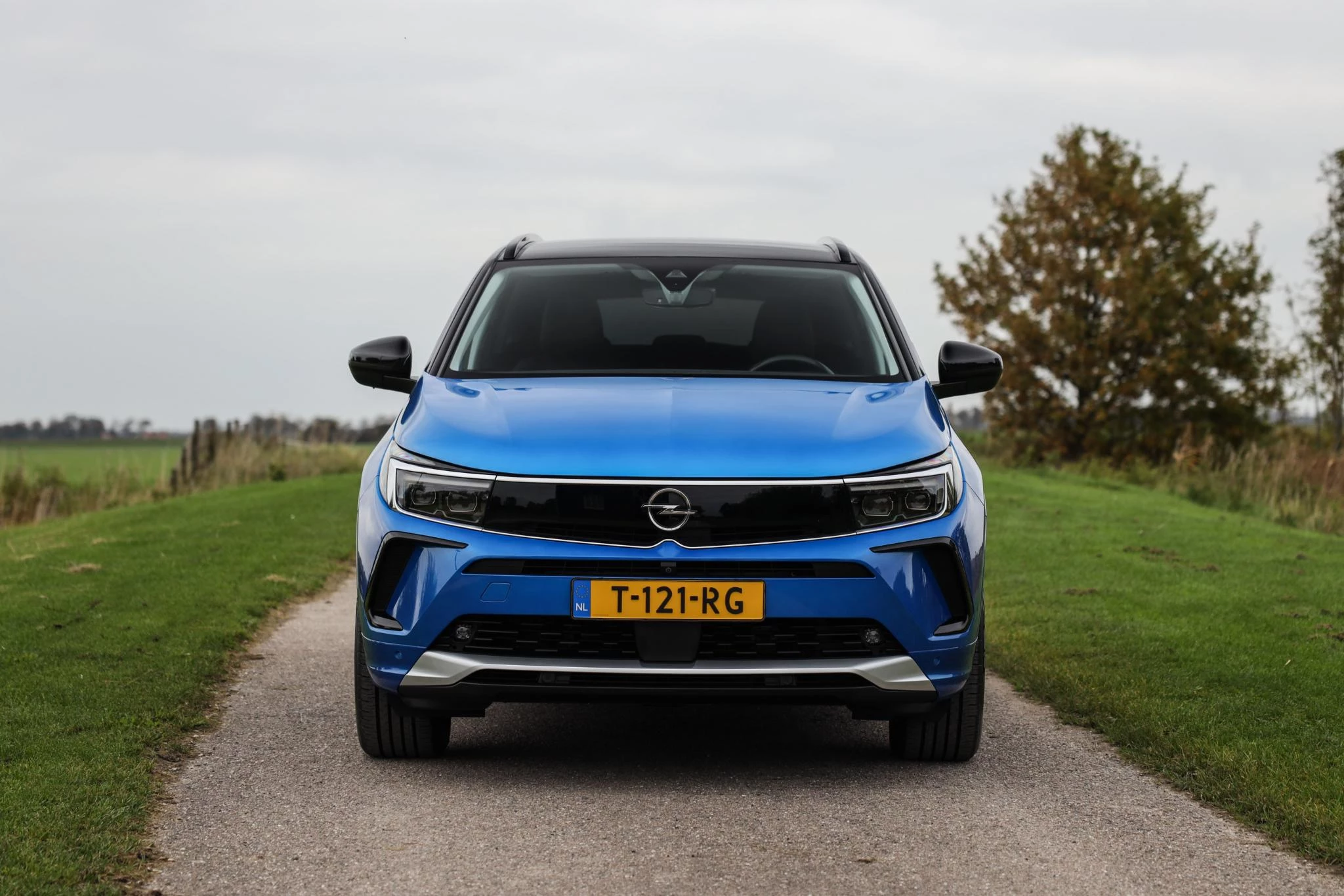 Hoofdafbeelding Opel Grandland