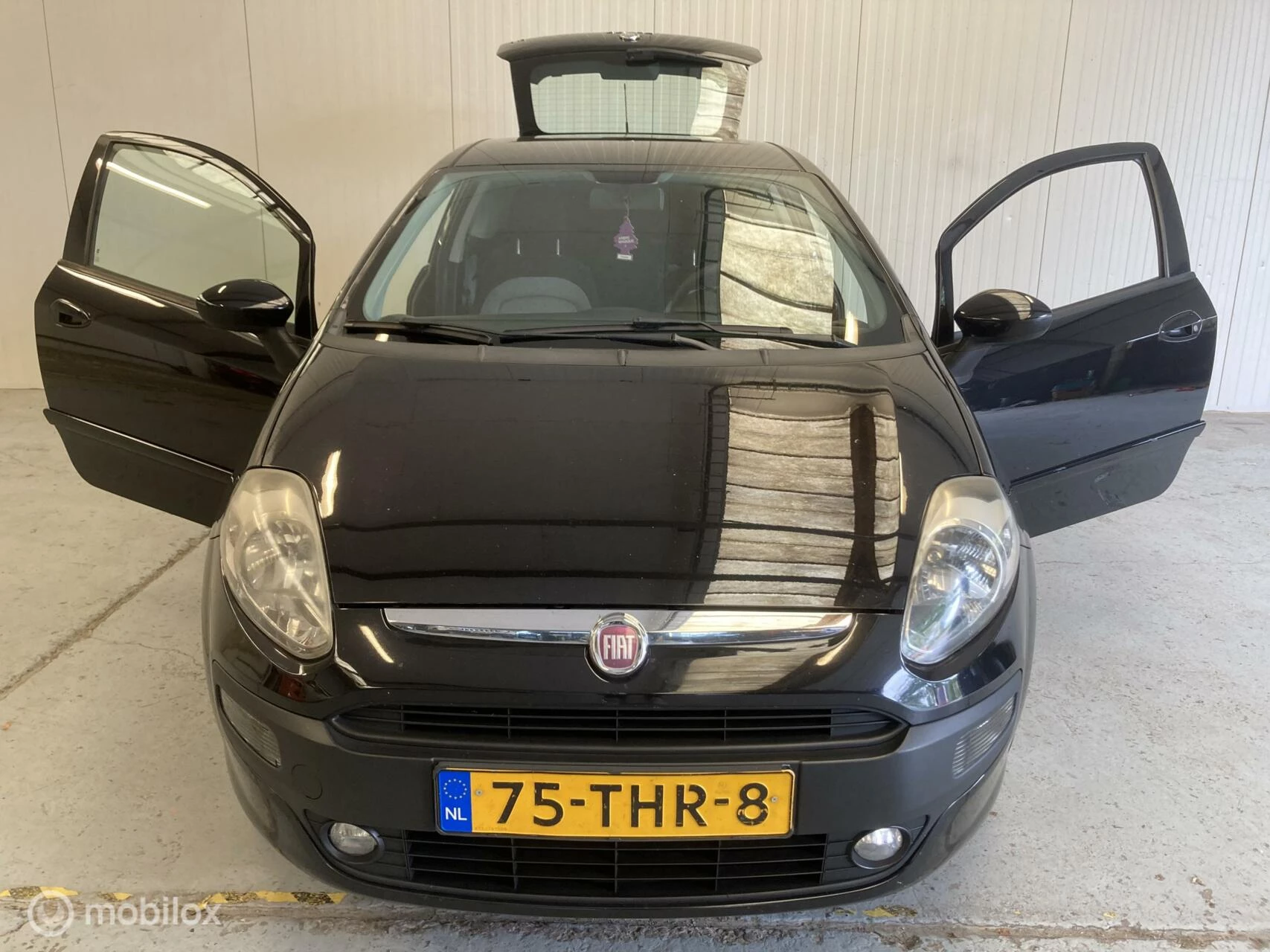 Hoofdafbeelding Fiat Punto
