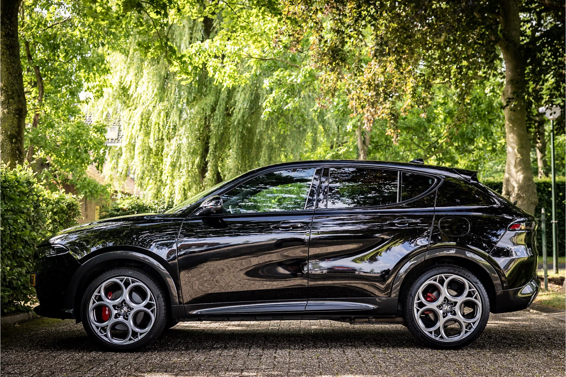 Hoofdafbeelding Alfa Romeo Tonale