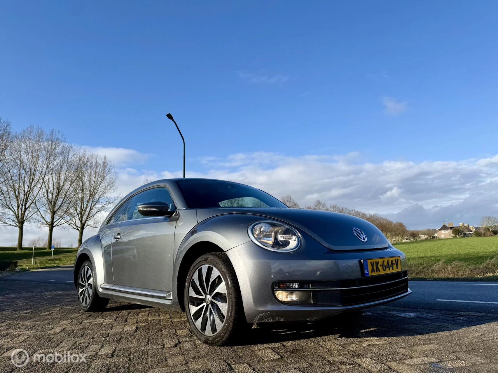 Hoofdafbeelding Volkswagen Beetle
