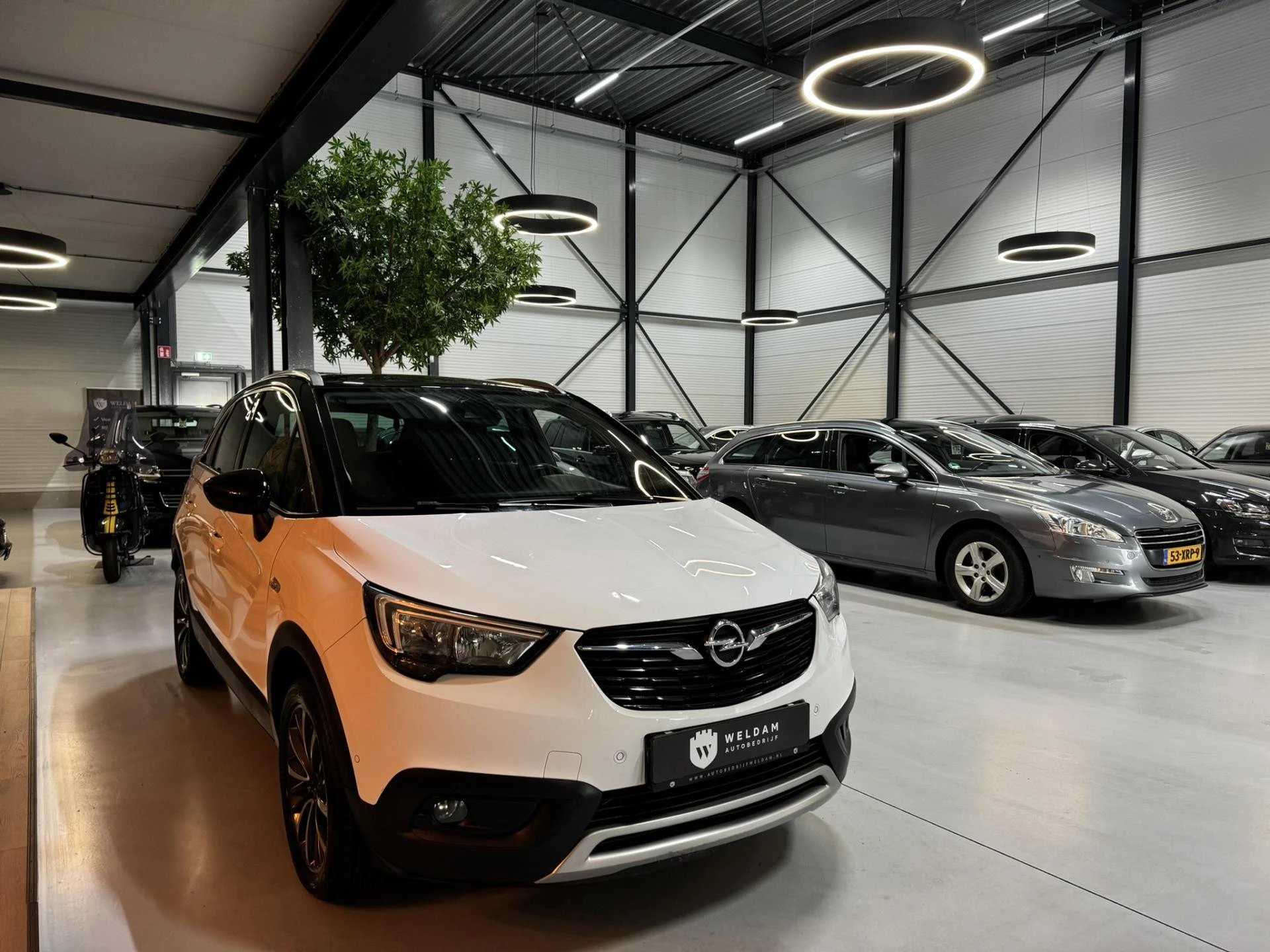 Hoofdafbeelding Opel Crossland X