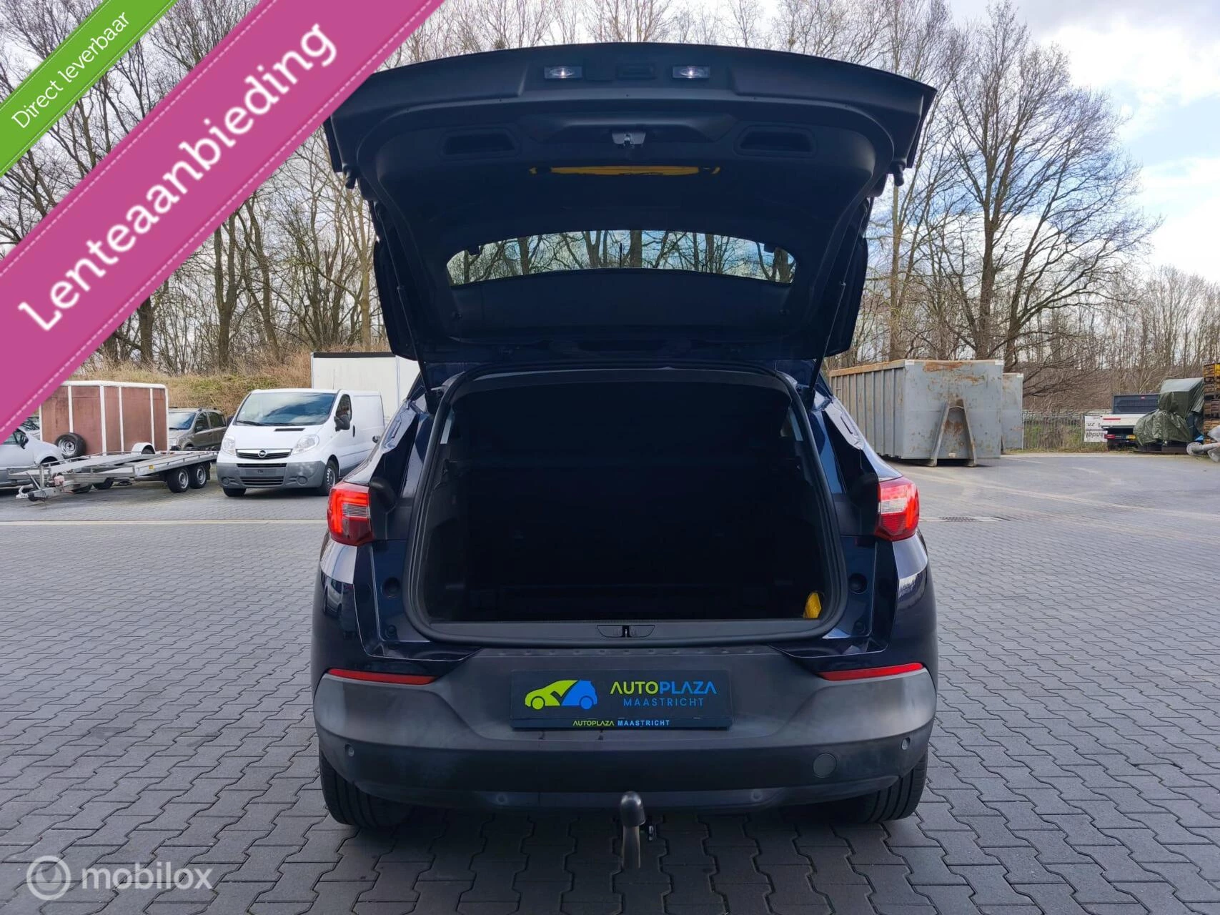 Hoofdafbeelding Opel Grandland X