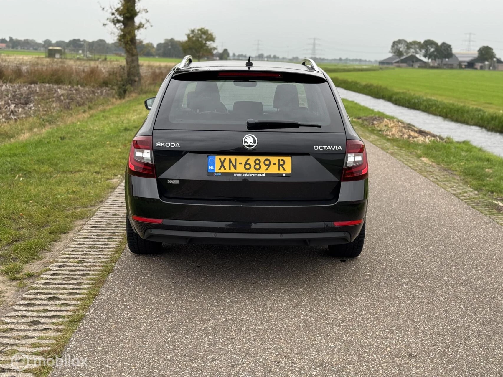Hoofdafbeelding Škoda Octavia