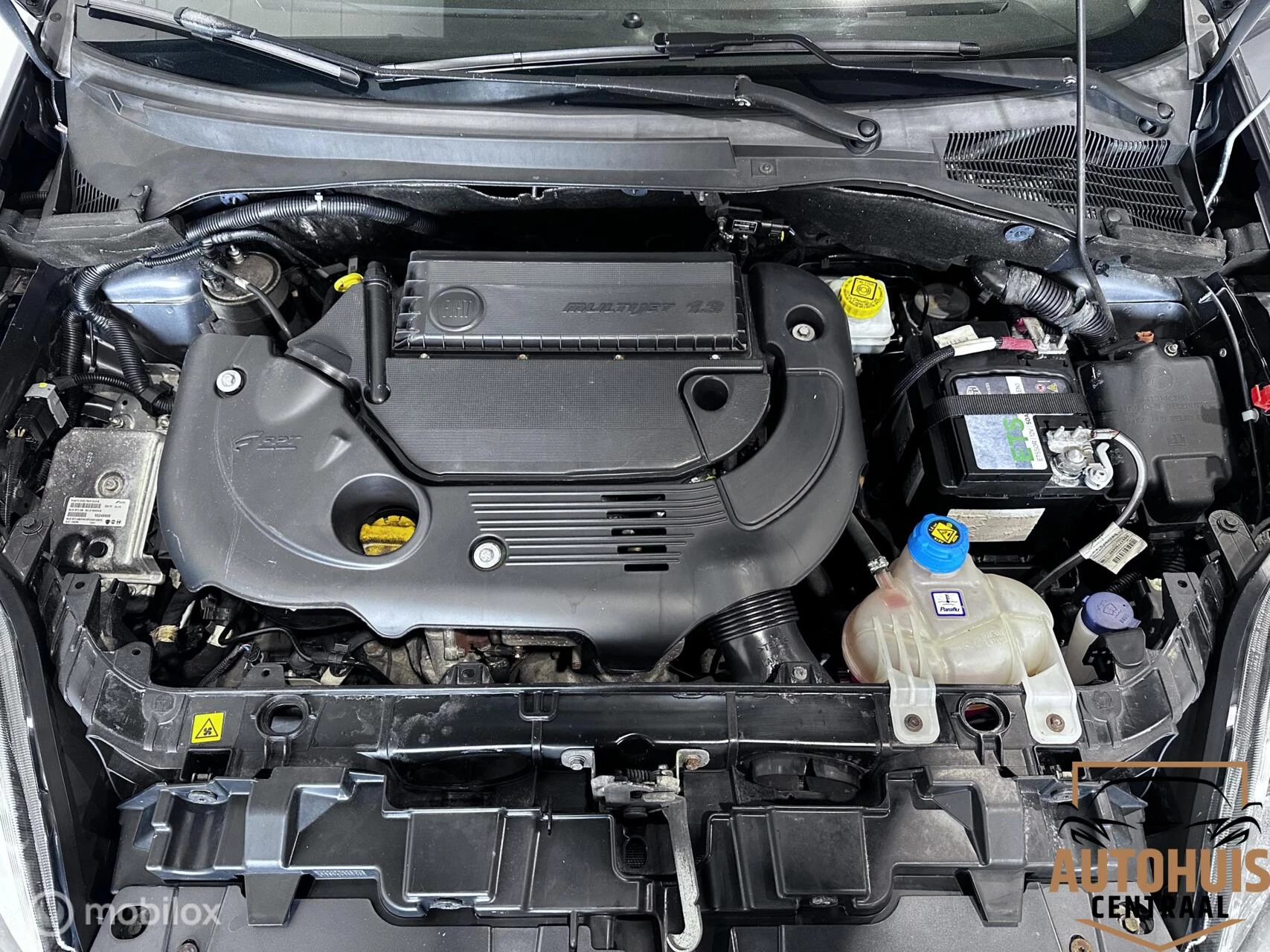 Hoofdafbeelding Fiat Punto