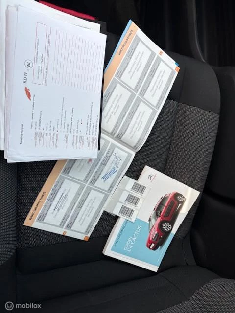Hoofdafbeelding Citroën C4 Cactus