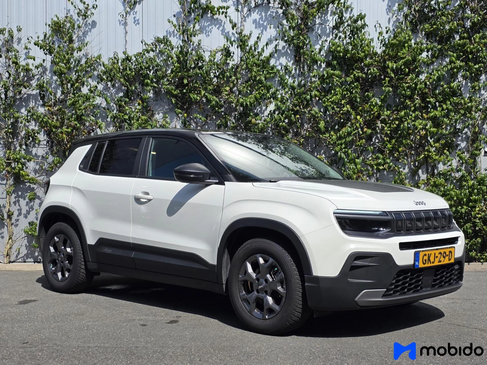 Hoofdafbeelding Jeep Avenger