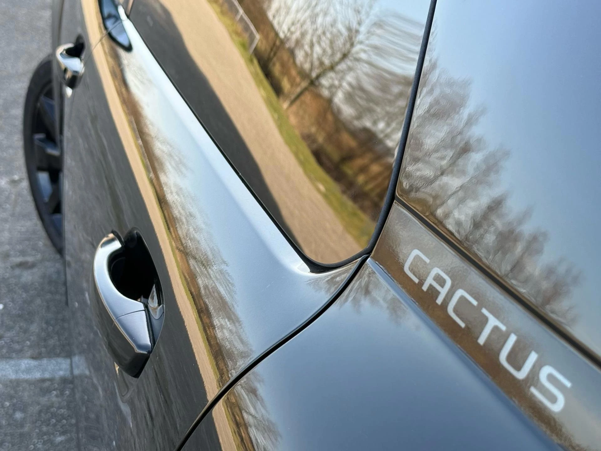 Hoofdafbeelding Citroën C4 Cactus