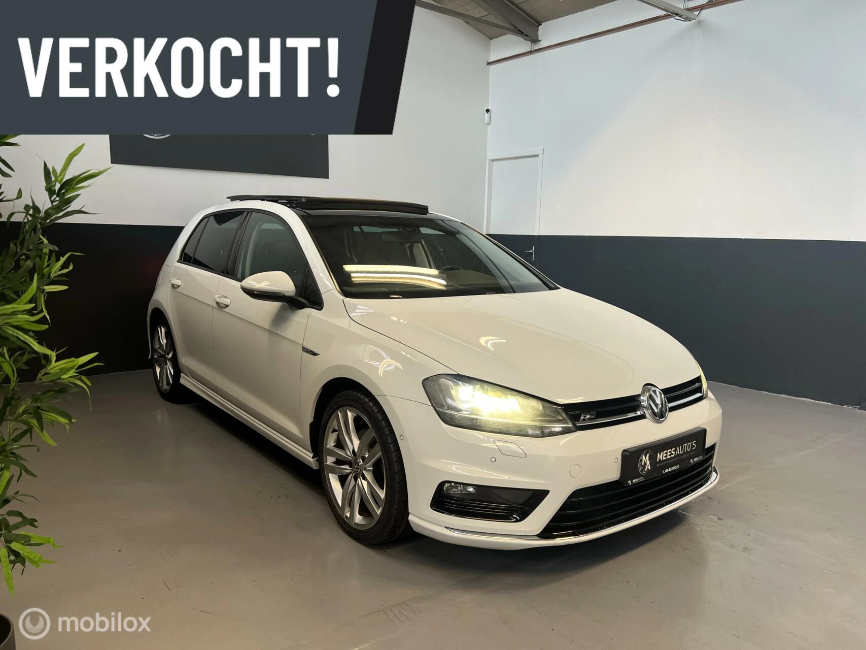 Hoofdafbeelding Volkswagen Golf