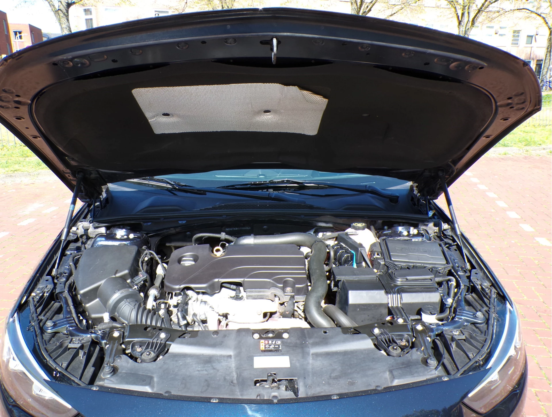 Hoofdafbeelding Opel Insignia