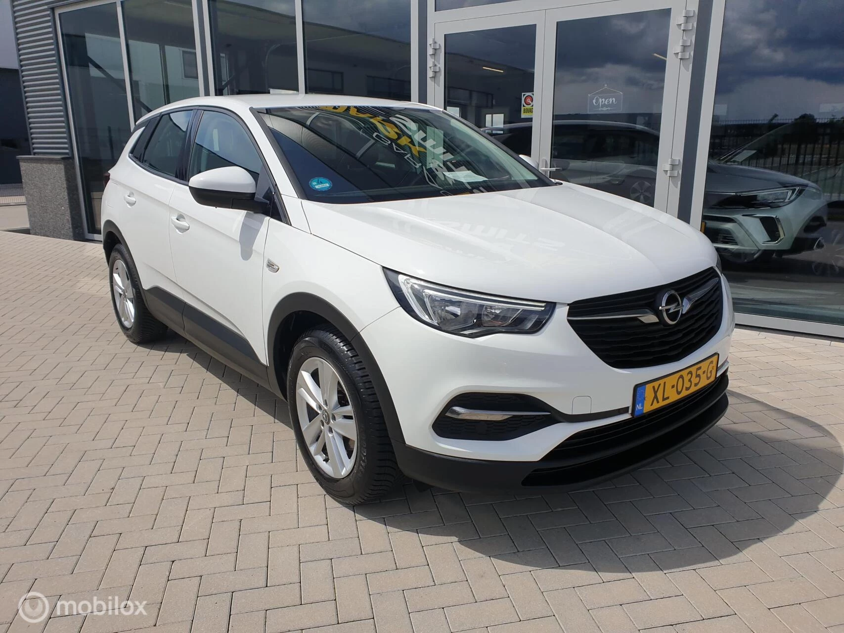 Hoofdafbeelding Opel Grandland X