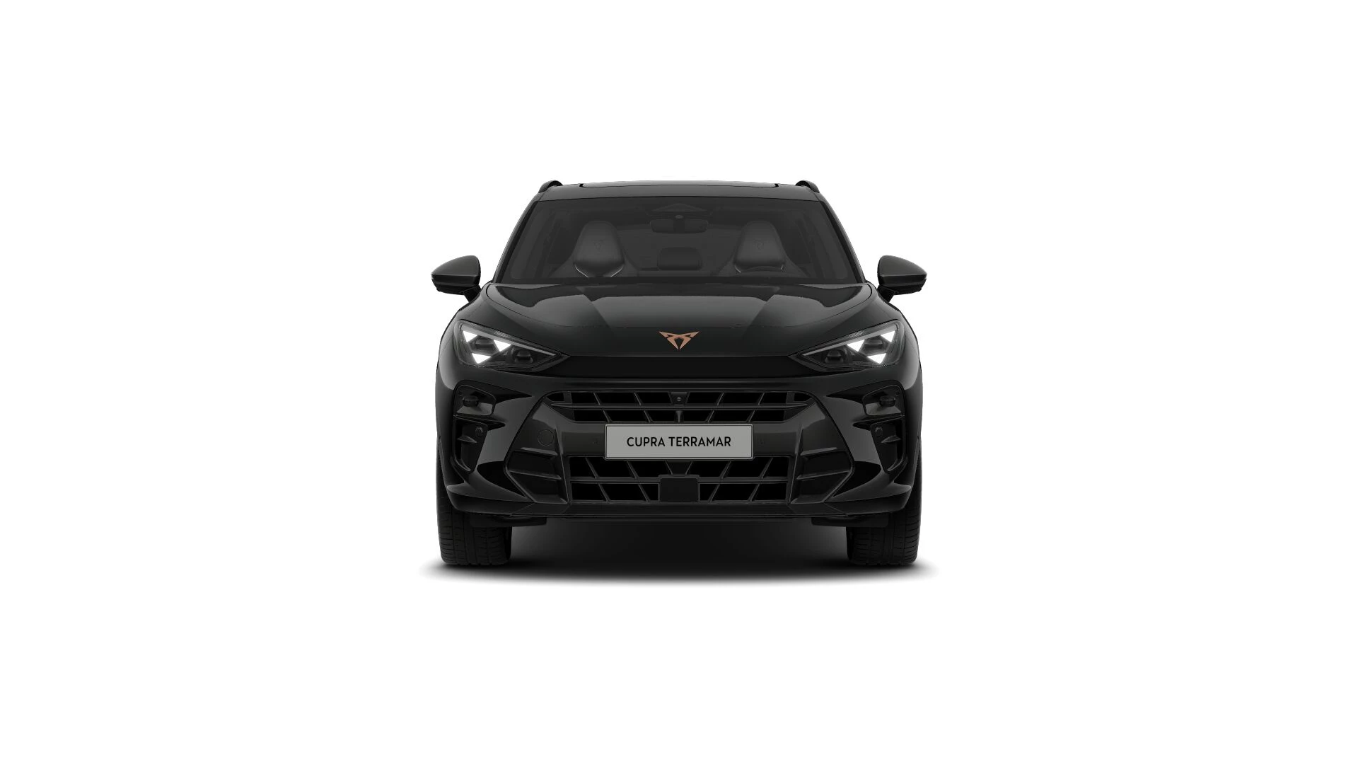 Hoofdafbeelding CUPRA Terramar