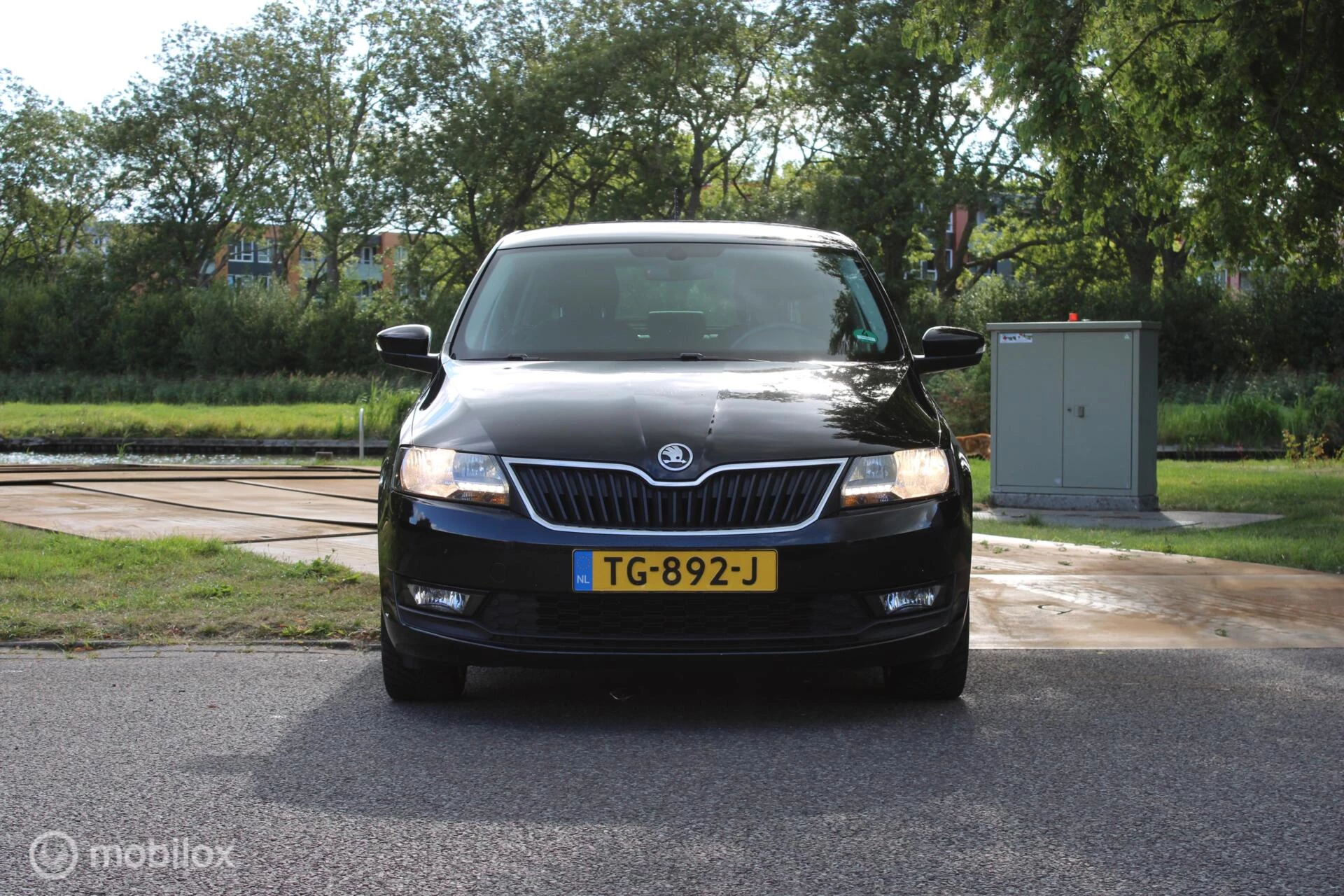 Hoofdafbeelding Škoda Rapid