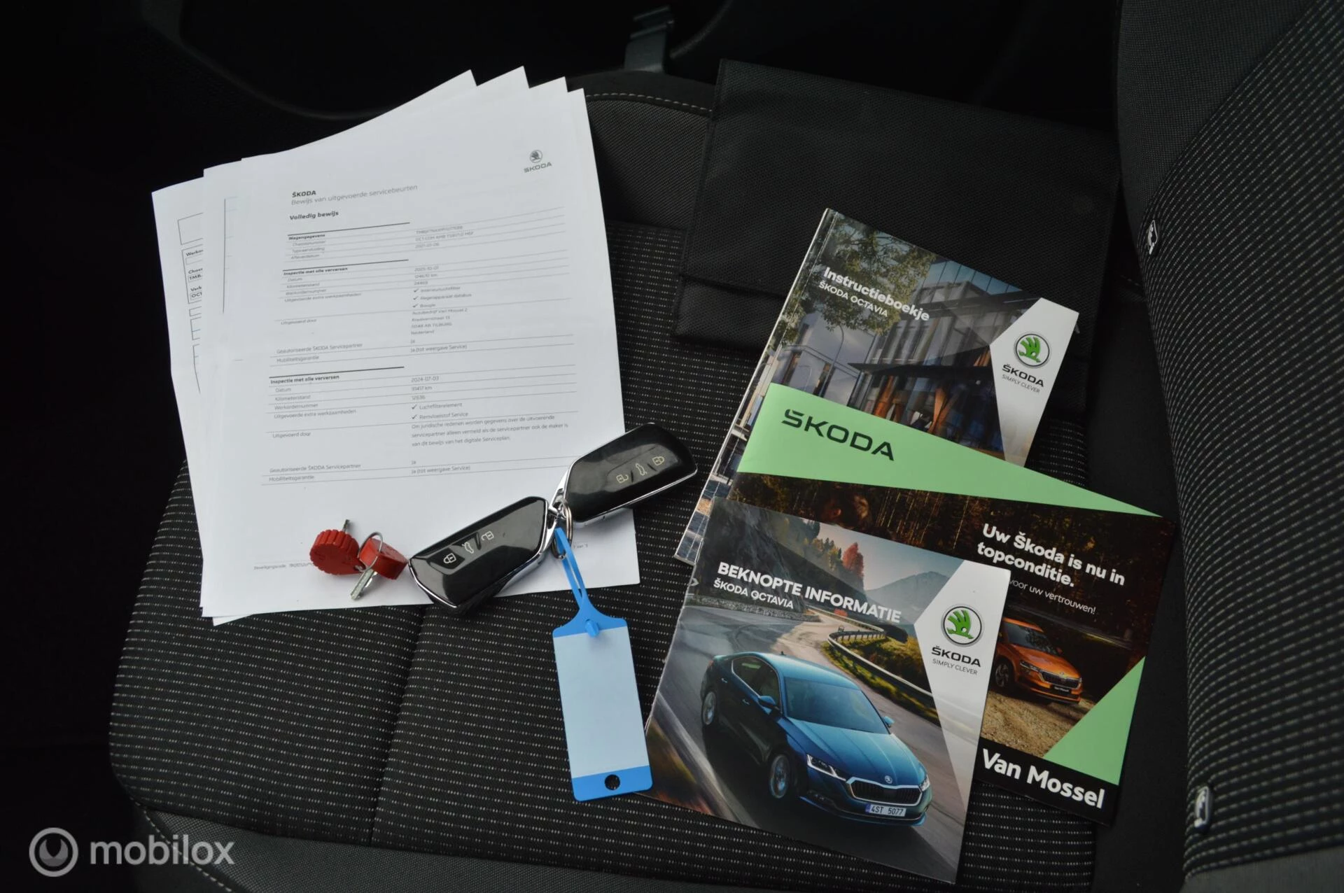 Hoofdafbeelding Škoda Octavia