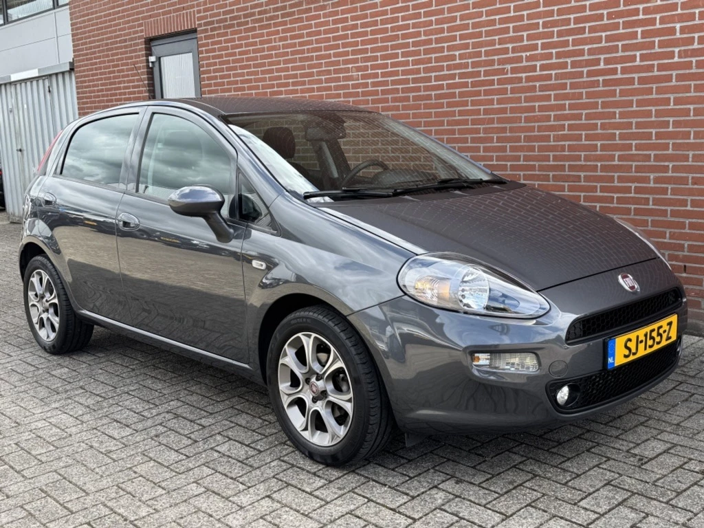 Hoofdafbeelding Fiat Punto