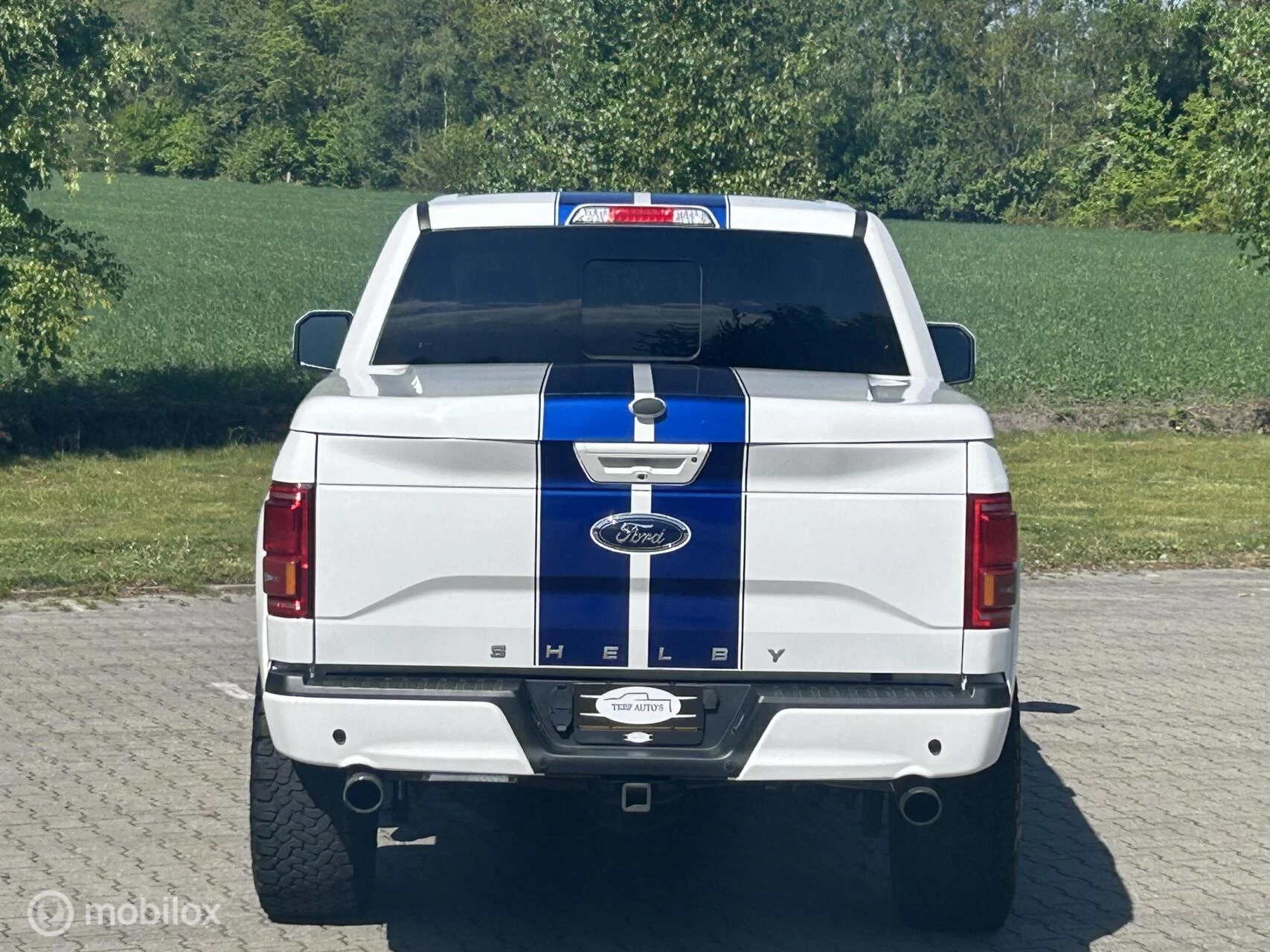 Hoofdafbeelding Ford F-150