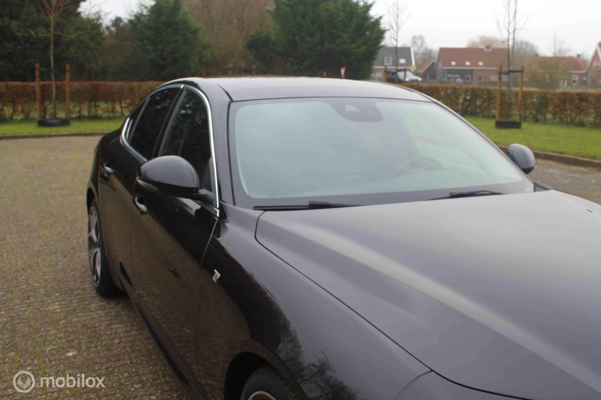 Hoofdafbeelding Alfa Romeo Giulia