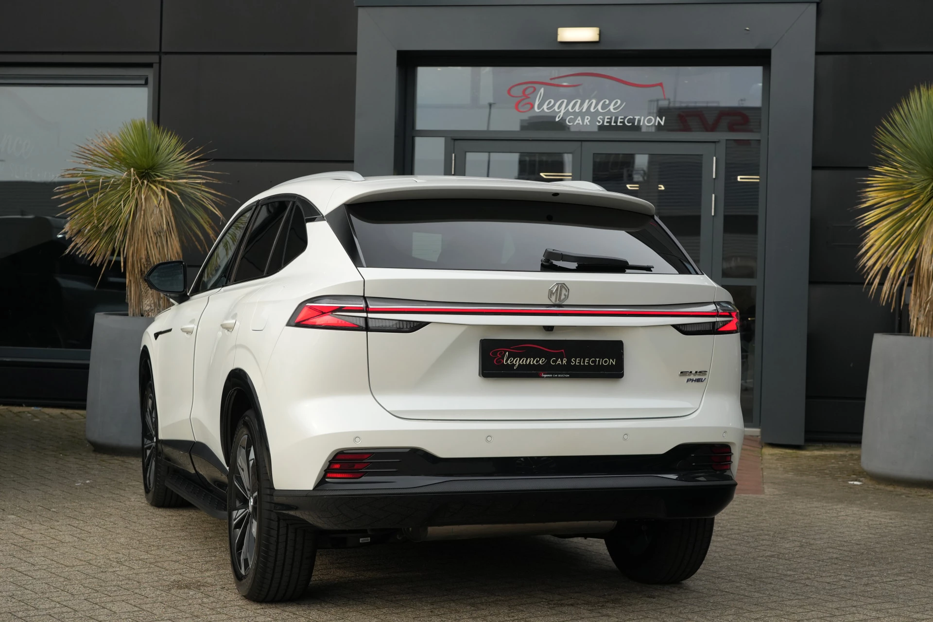 Hoofdafbeelding MG HS