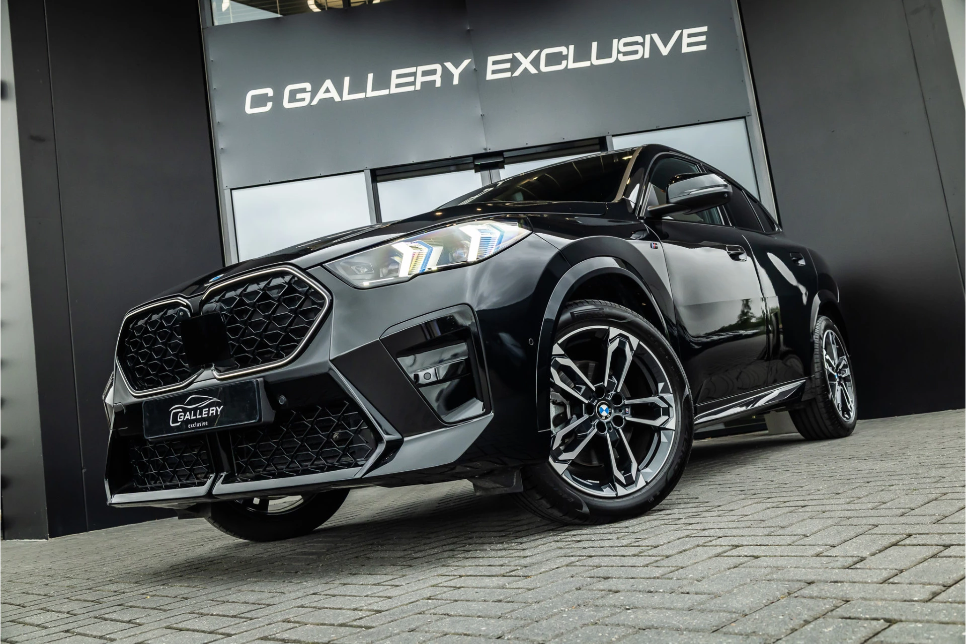 Hoofdafbeelding BMW X2