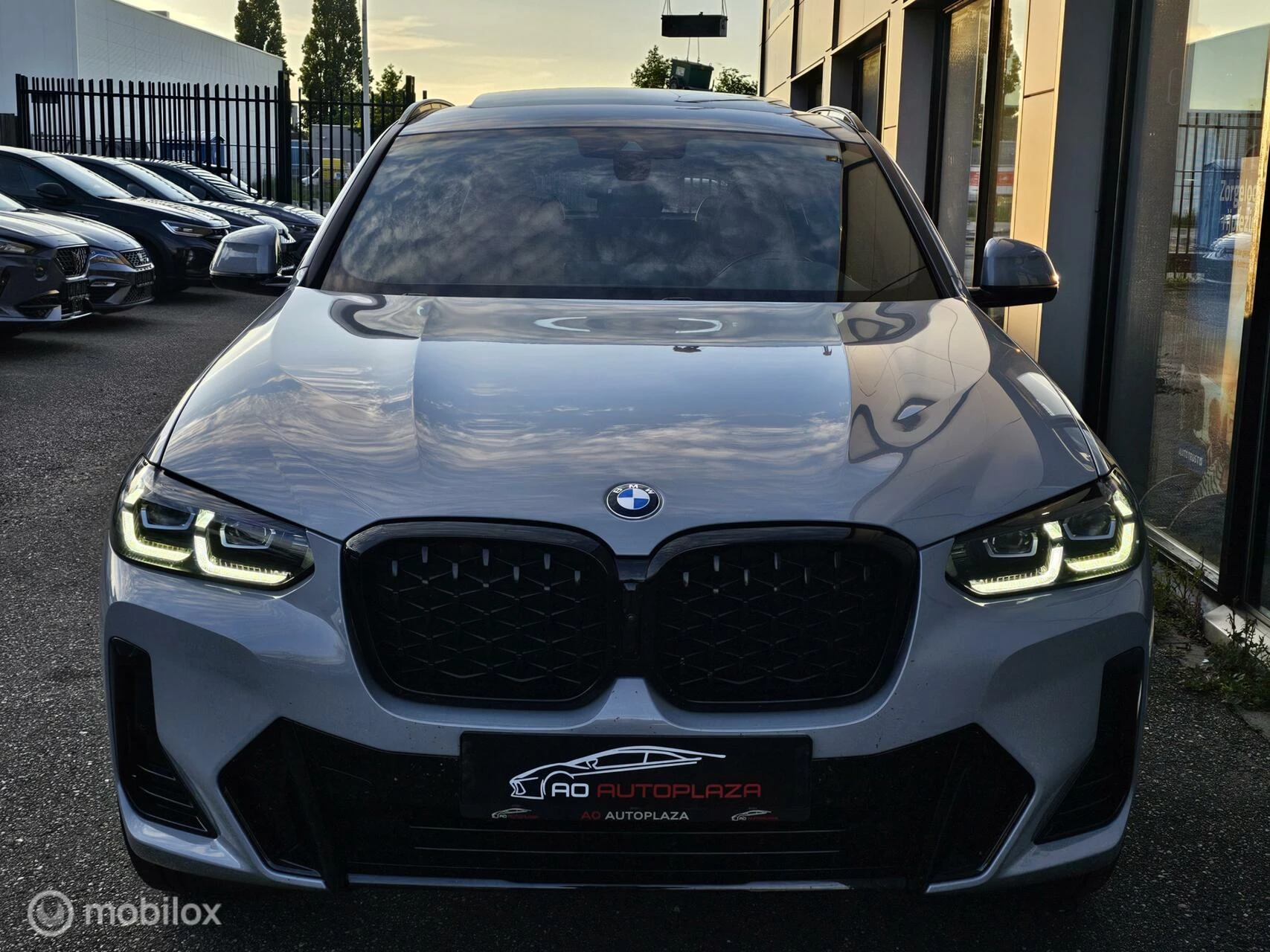 Hoofdafbeelding BMW X4