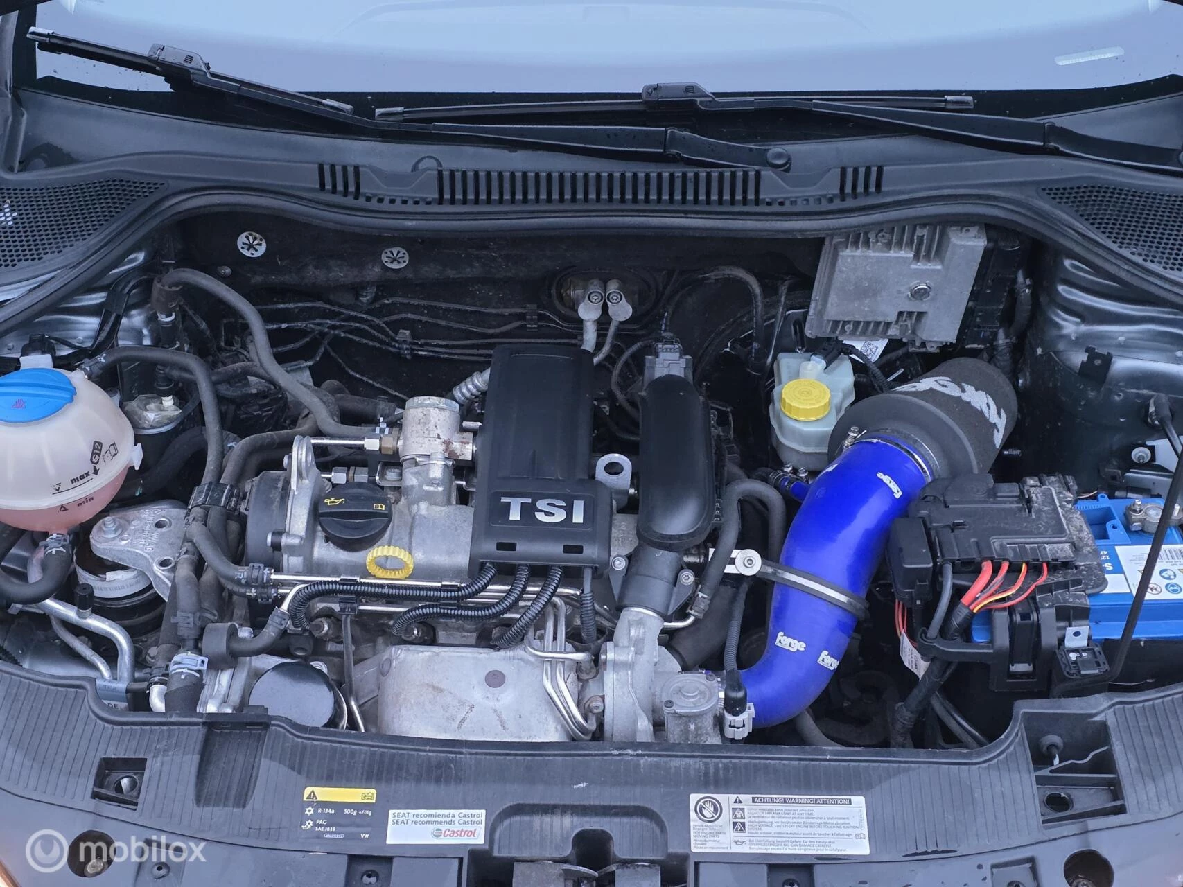 Hoofdafbeelding SEAT Ibiza