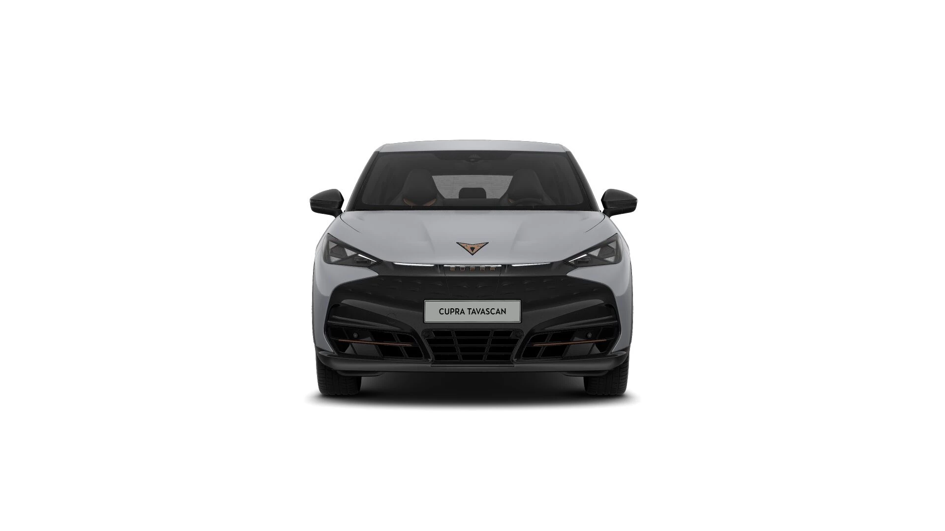 Hoofdafbeelding CUPRA Tavascan