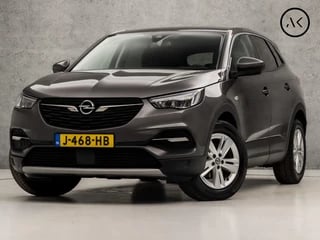 Opel Grandland X 1.2 Turbo Innovation Sport (GROOT NAVI, APPLE CARPLAY, CAMERA, GETINT GLAS, CLIMATE, PARKEERSENSOREN, NIEUWE APK, NIEUWSTAAT)