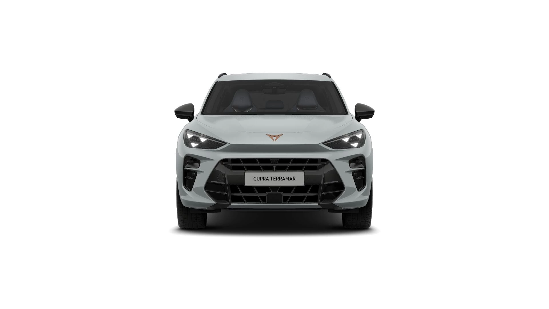 Hoofdafbeelding CUPRA Terramar