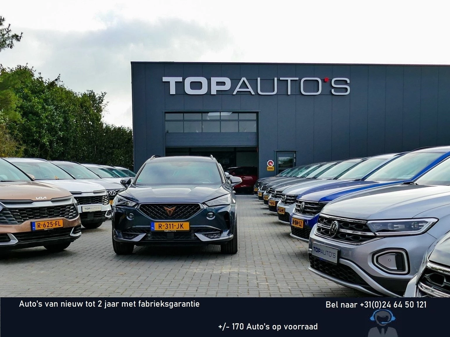 Hoofdafbeelding Volkswagen Tiguan